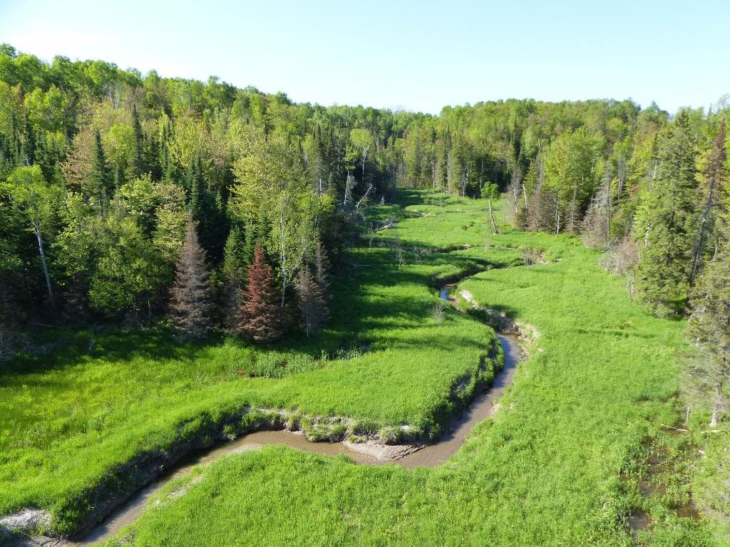 The view from the biggest bridge along the trail