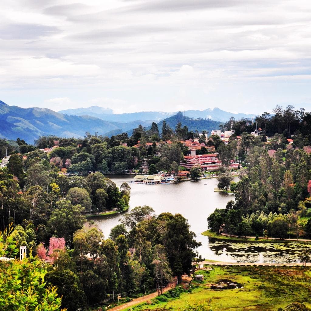 Upper Lake View