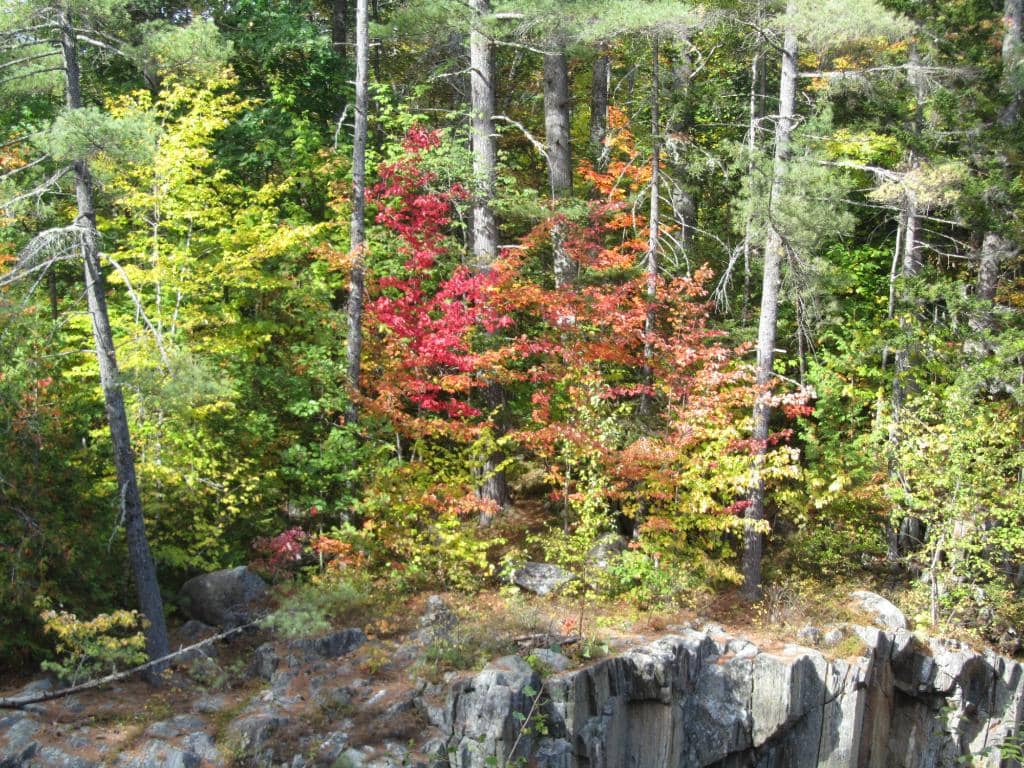 Vertical photo