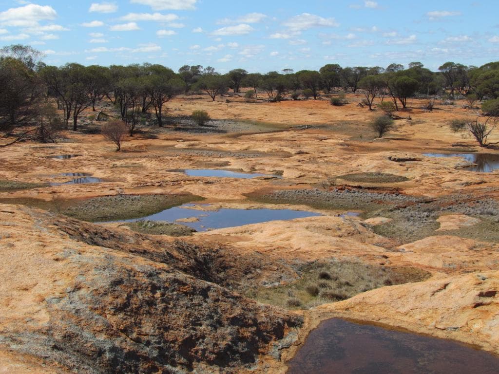 Goongarrie National Park