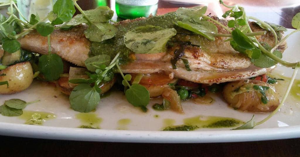 Wild Sauna & Loch Swimming