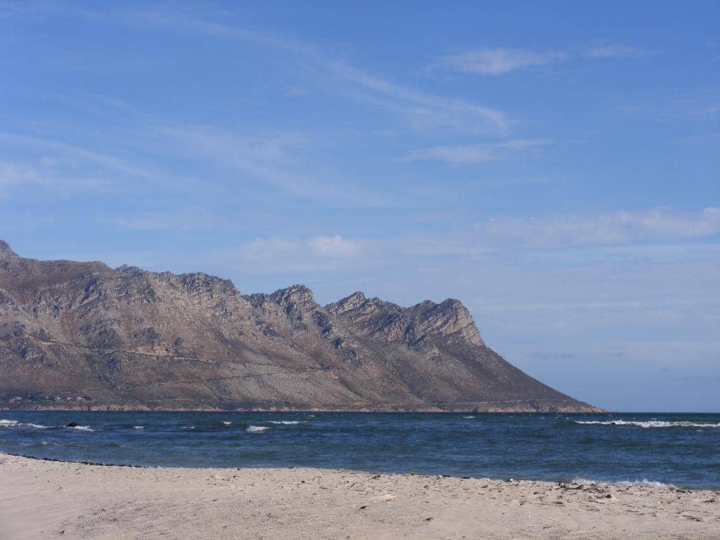 Calm Swimming Waters