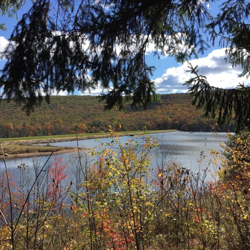 Scenes along the way from Summit Hill