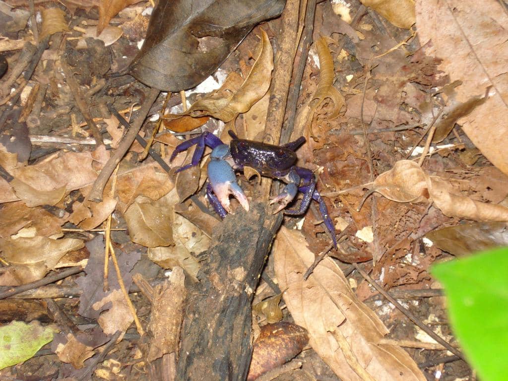 Nature's Harmony Homestay