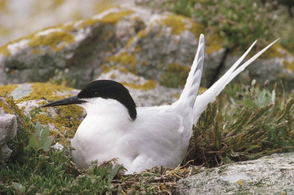 Dramatic Cliff-Edge Views