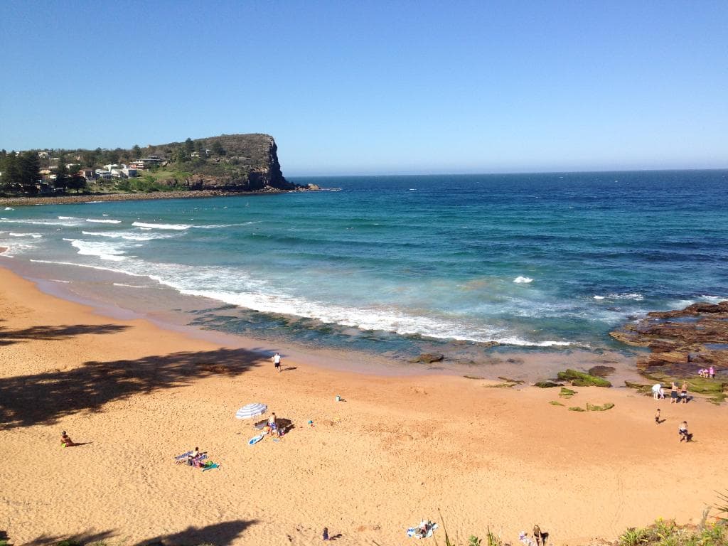 The beach from the headland