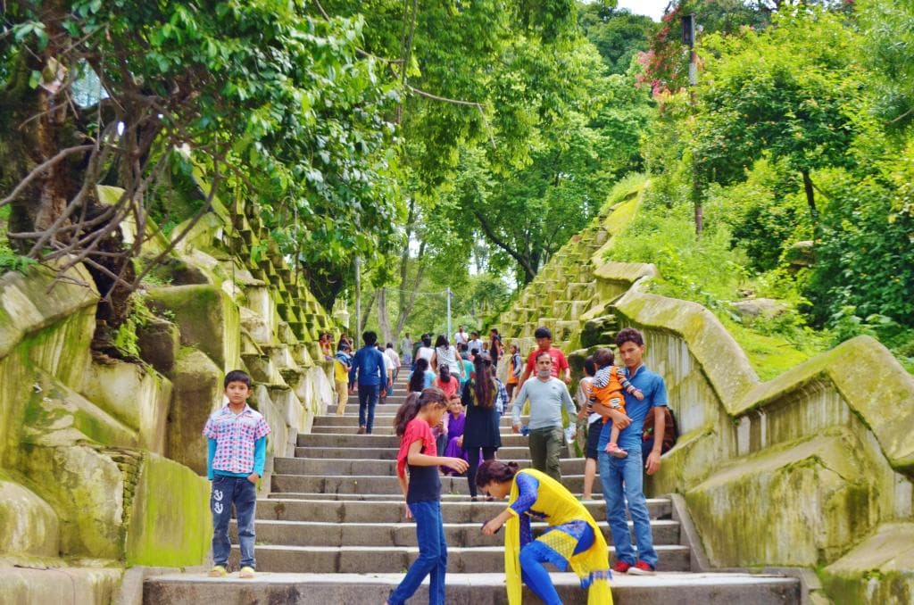 ムルガスタリの森