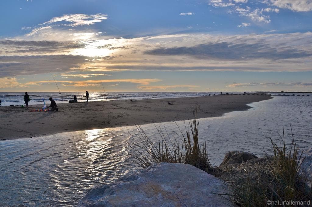 Plage de Piémanson, Salin de Giraud