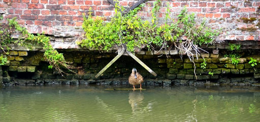Dijle River Boat Tour
