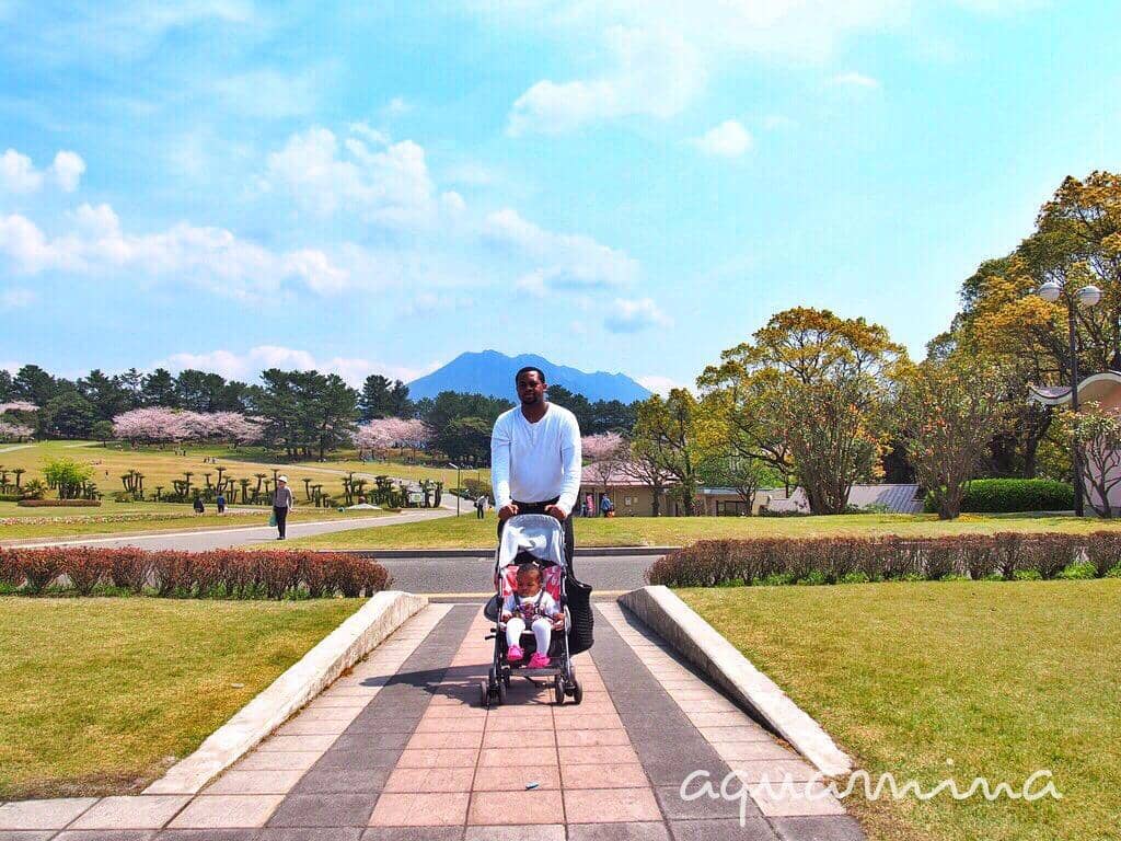 Peaceful Garden Strolls