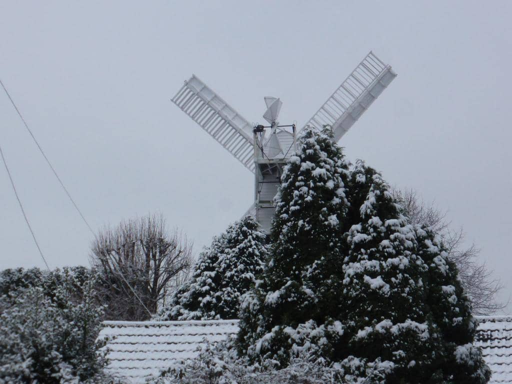 The Iconic Wimbledon Queue