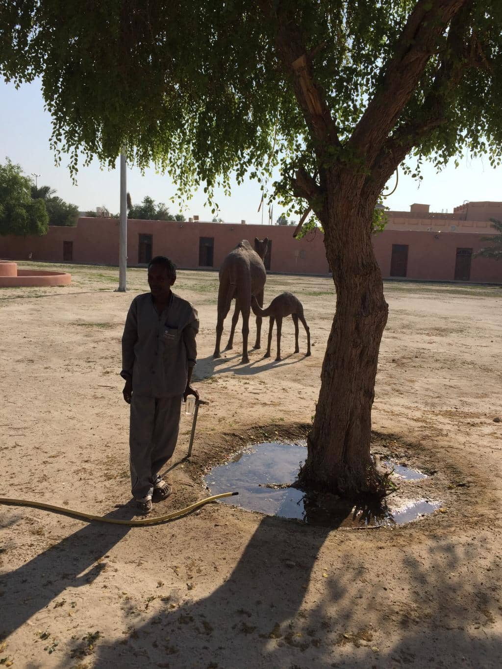 Jahra Red Fort