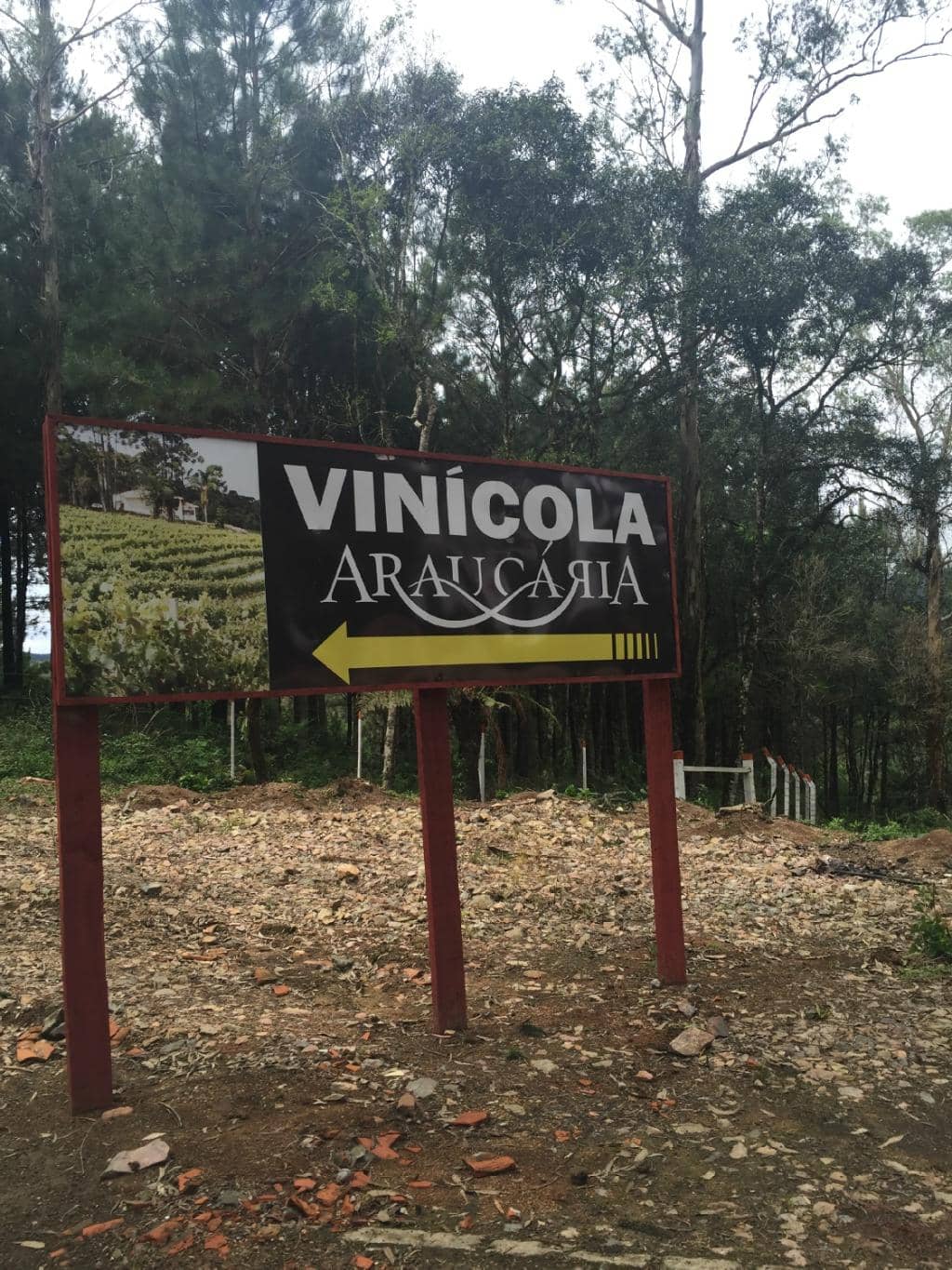 Wine Tasting Experience