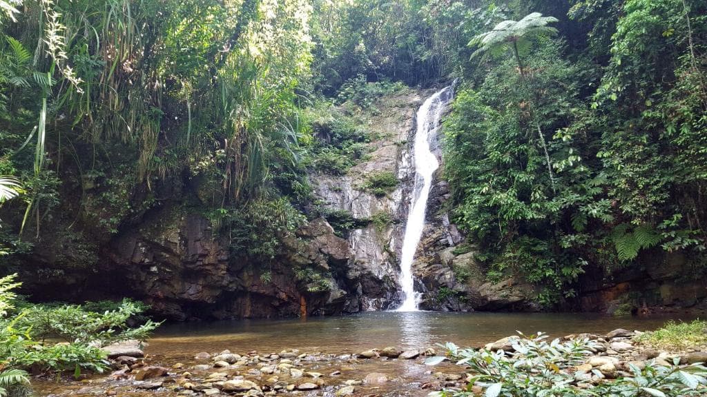 Pamuayan Falls