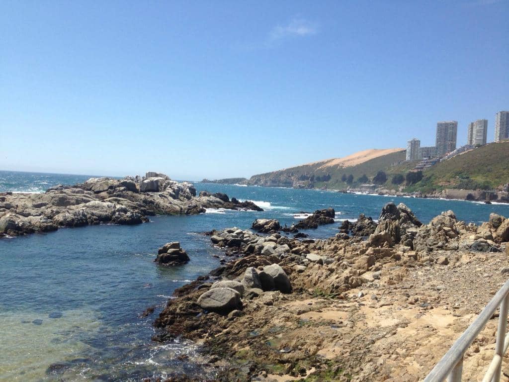 Sea Lion Colony