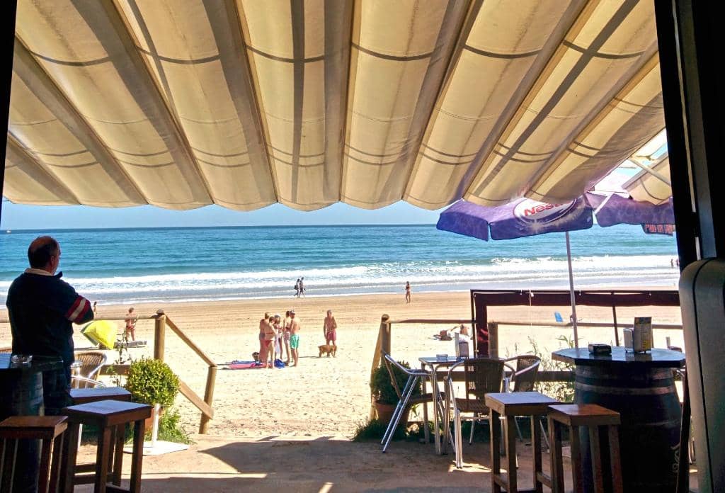 Scenic Coastal Walks