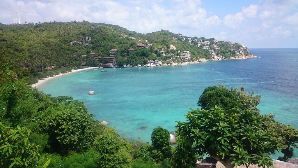 Shark Bay Koh Tao Thailand