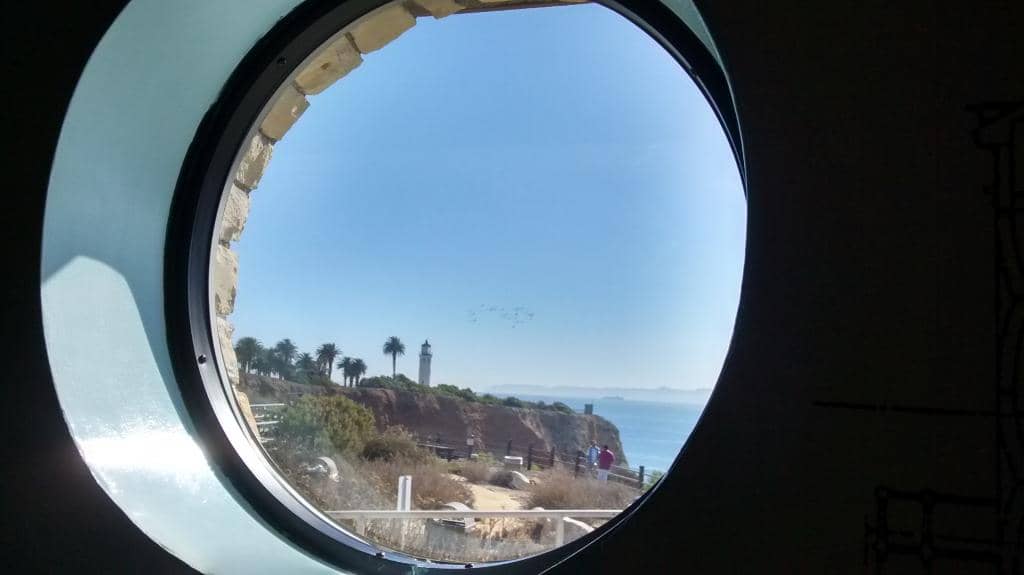 Whale Watching Opportunities