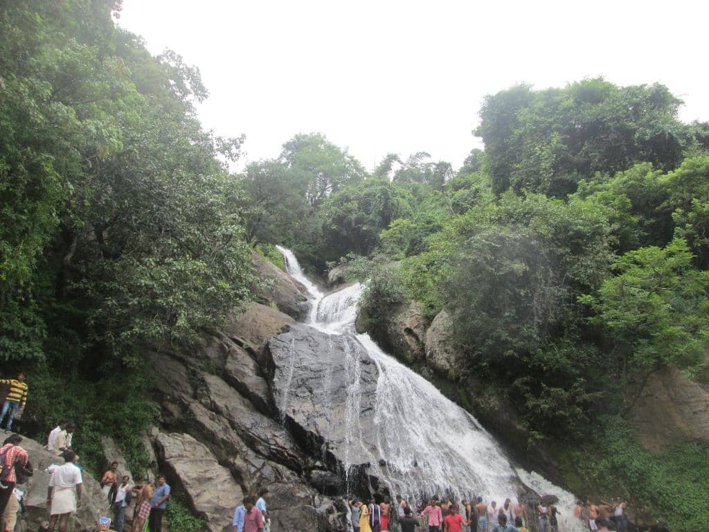 Natural Swimming Pool