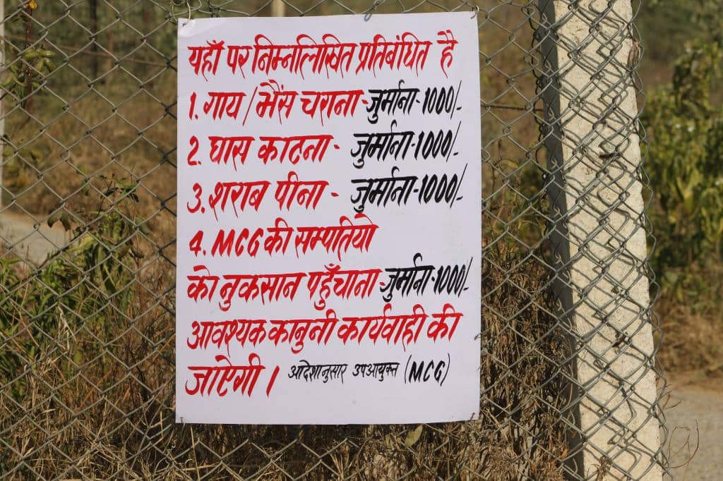 Panoramic Hilltop Views