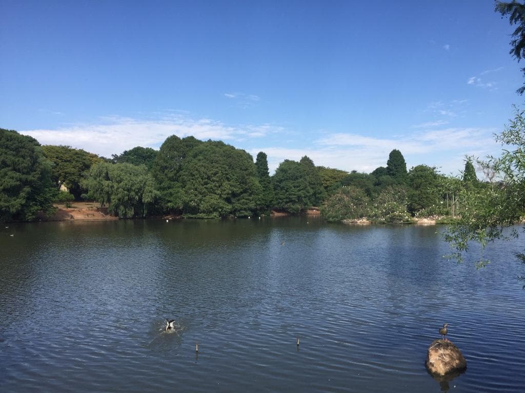 Zoo Lake Johannesburg