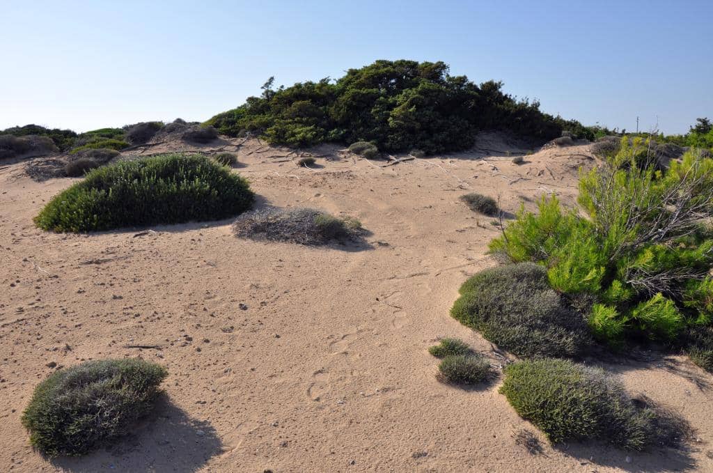 Crystal-Clear Waters