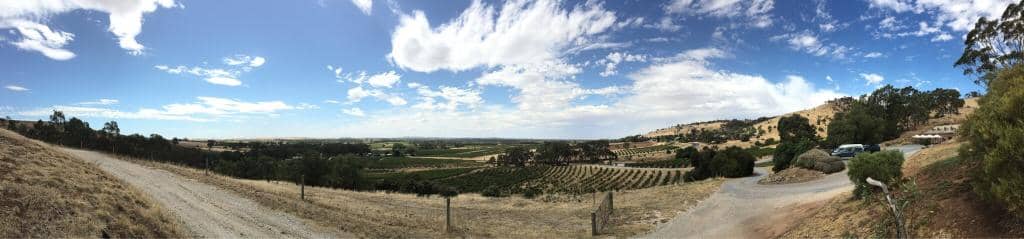 Vintage Wine Label Collection