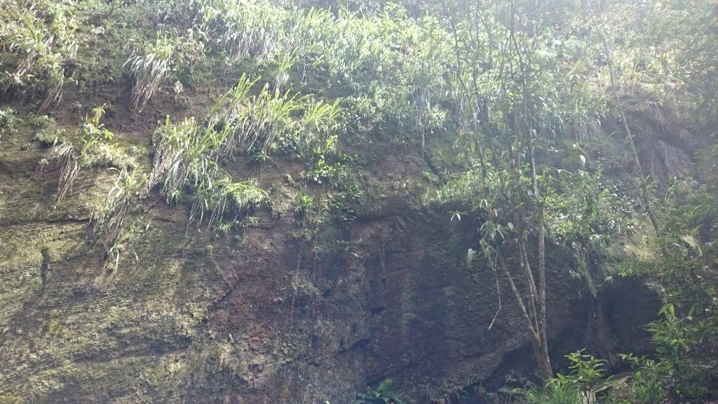 Jequitiba Waterfall