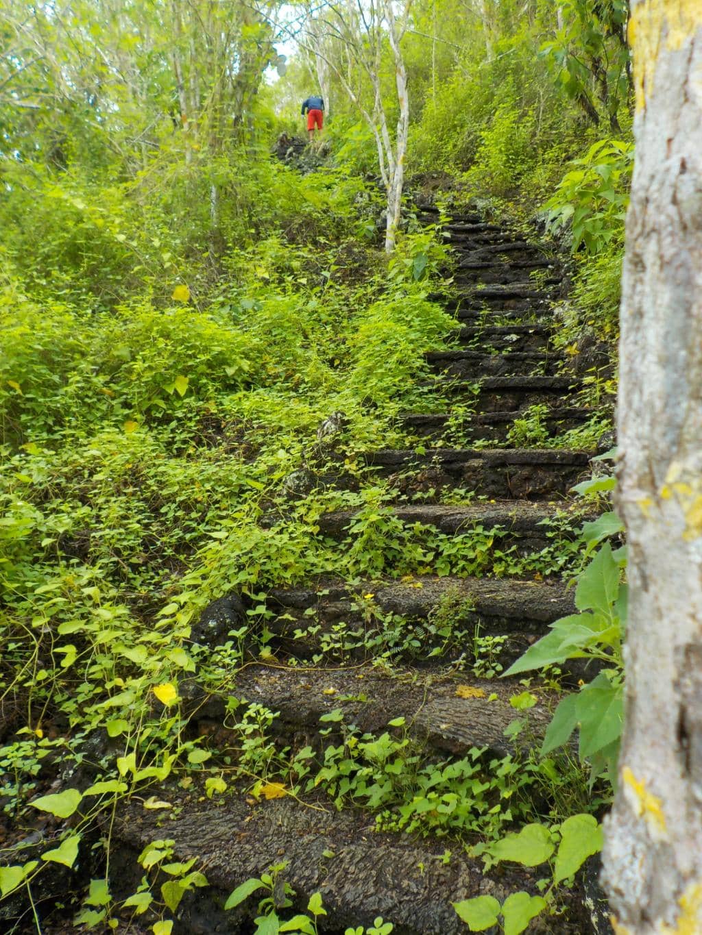 Vertical photo