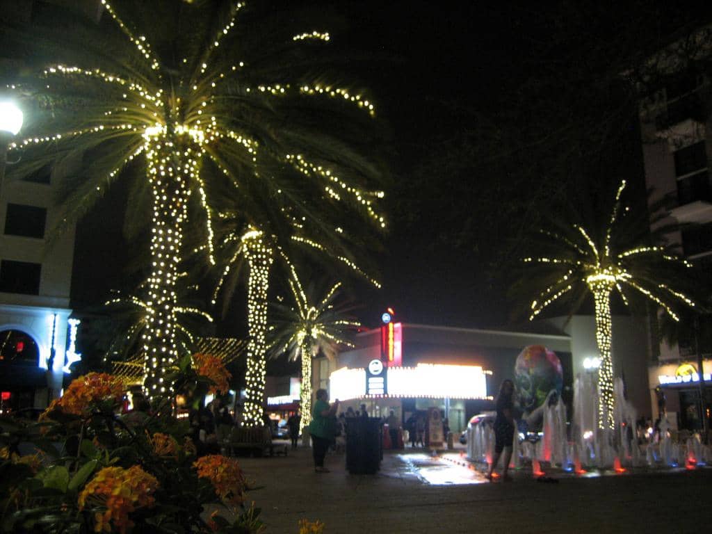 Nightlife & Entertainment