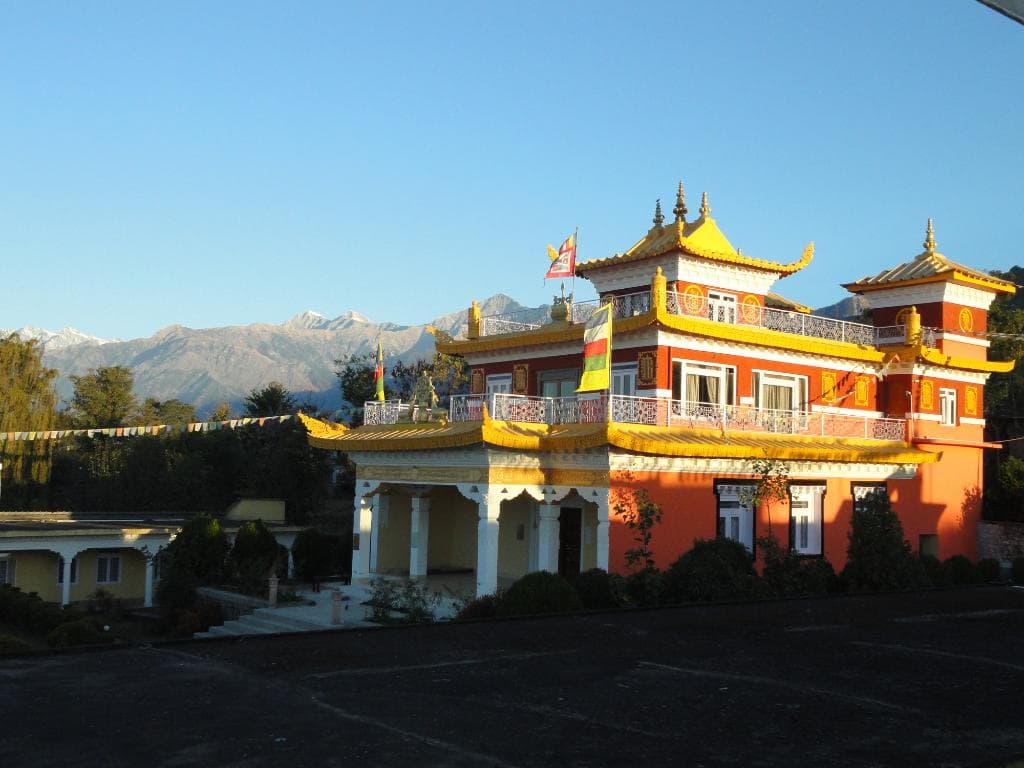 The mountains in the background.