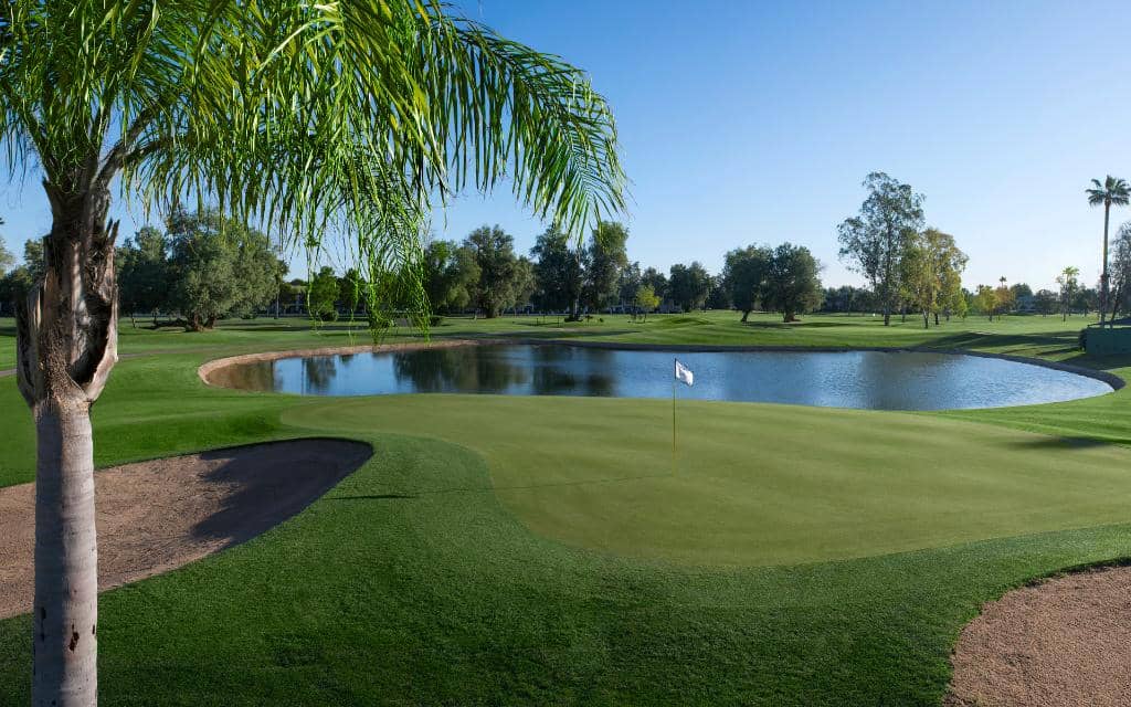 Well-Maintained Greens