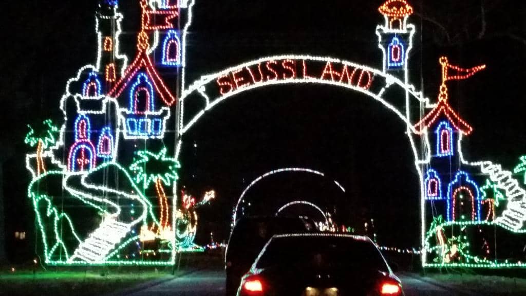 Accidental Circus Art Installation