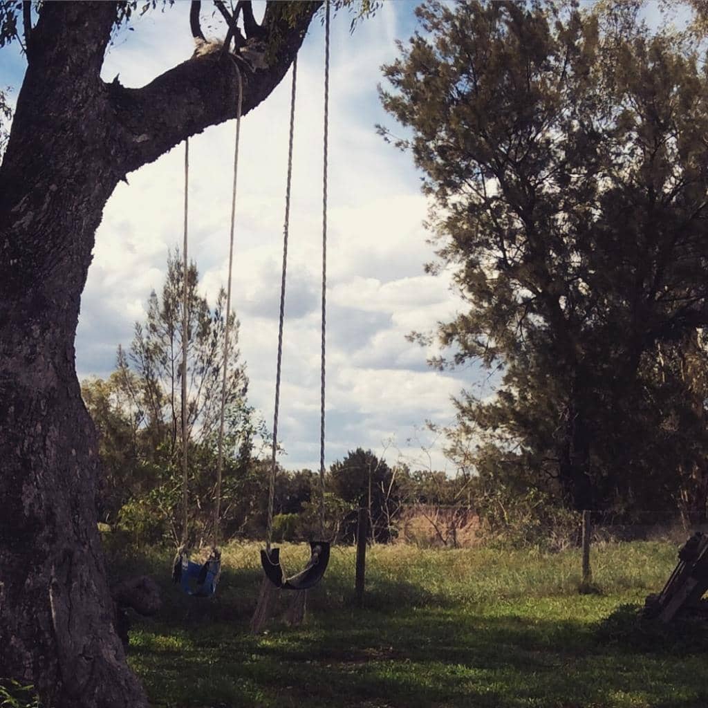 Gourmet Dining Experiences