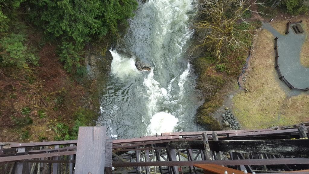 View from Kinsol Trestle