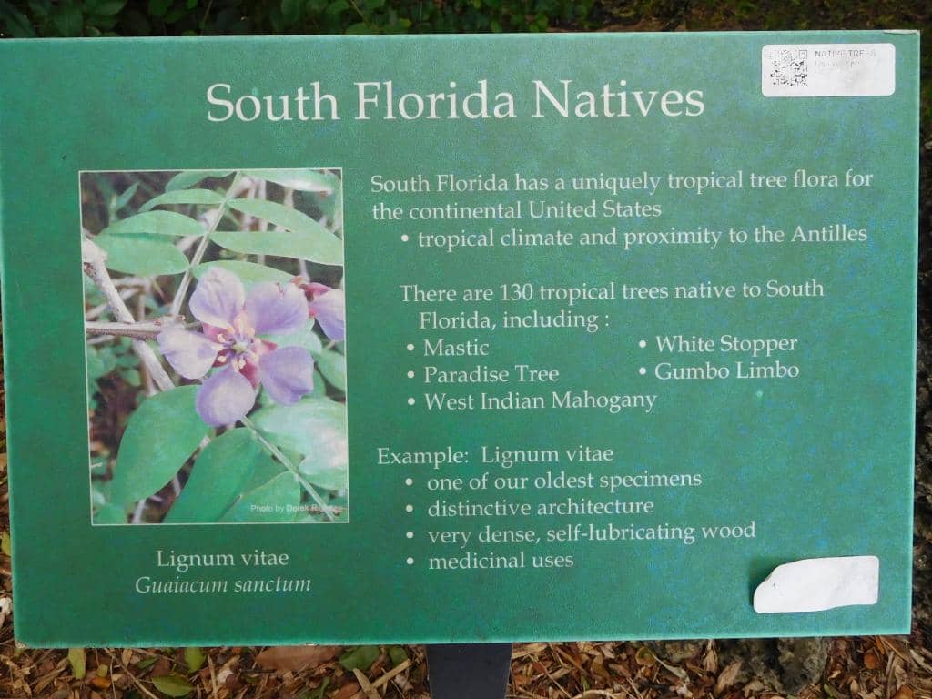 Peaceful Nature Walk