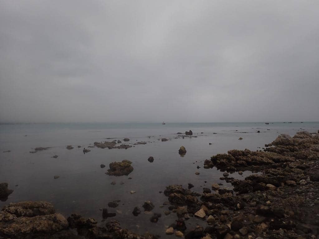 Vertical photo