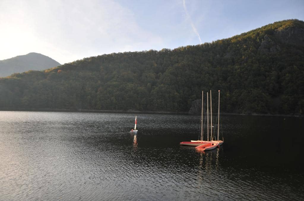 Forest Hiking Trails