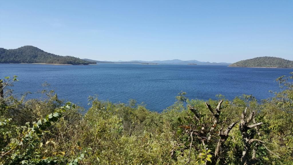 Bhadra Wildlife Sanctuary Karnataka India