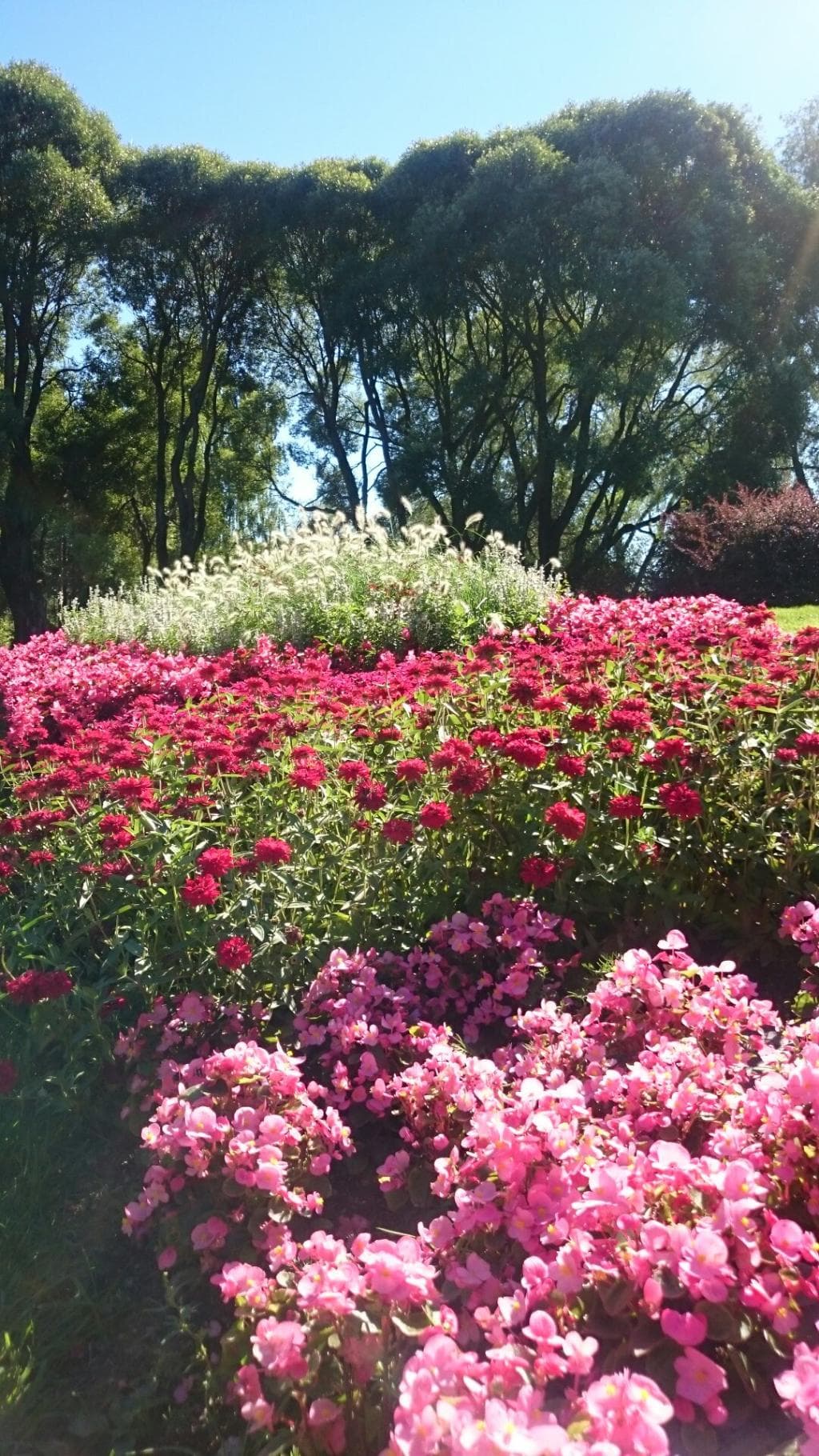 Hatanpää Arboretum