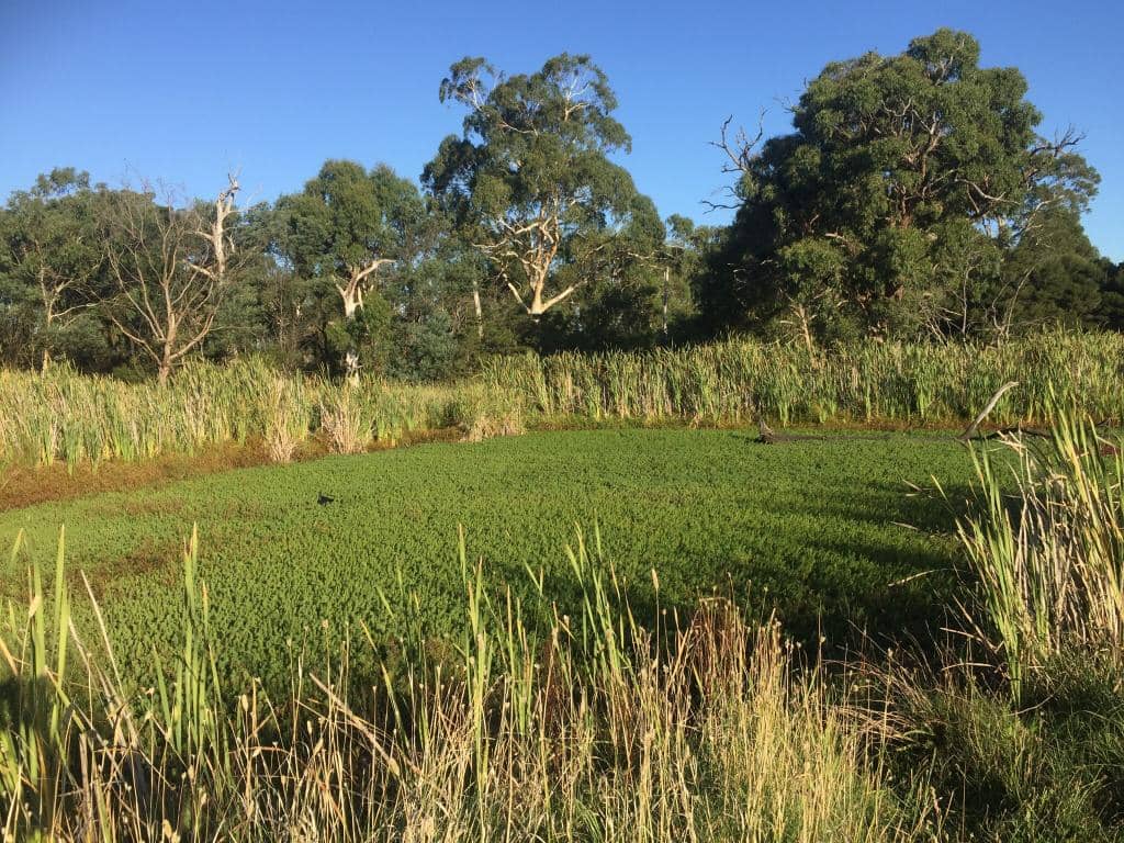 Walking & Cycling Paths