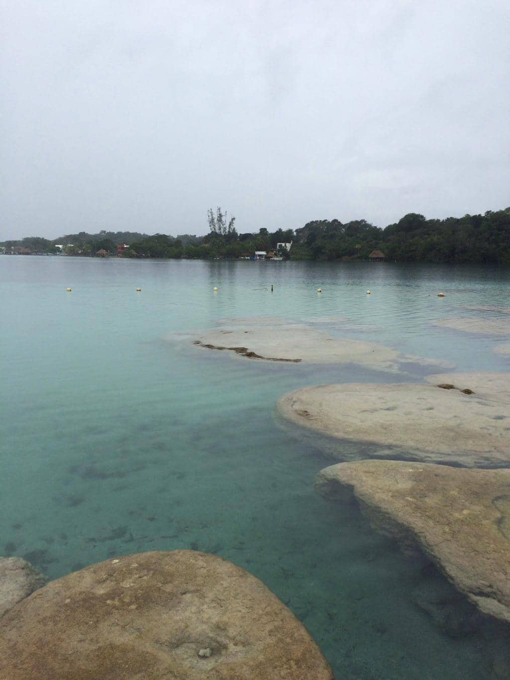 Living Stromatolites