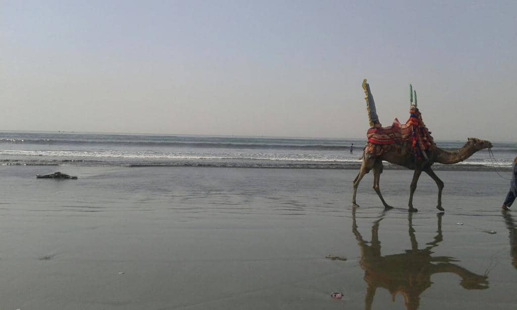 Beach Volleyball & Activities