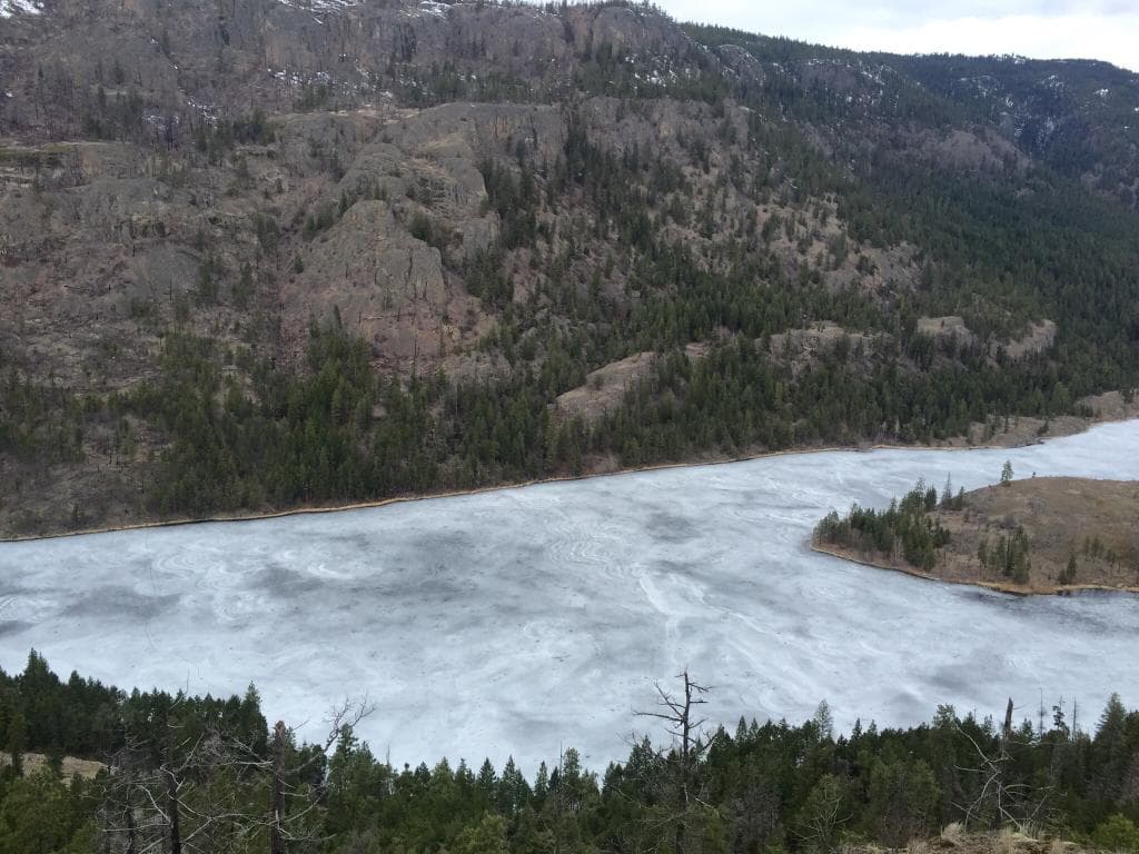 Late Winter Time Photos