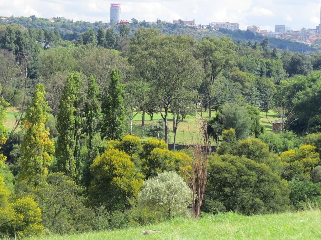 View of park