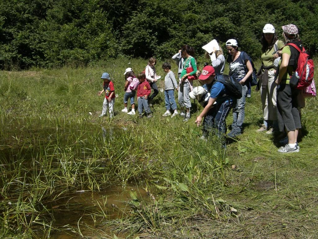 Interactive Digital Guides