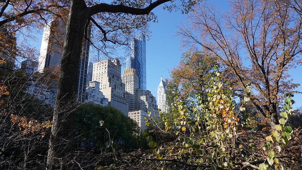Upper West Side