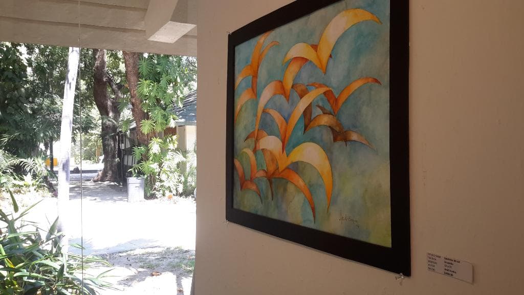 Casa Haas Cultural Center