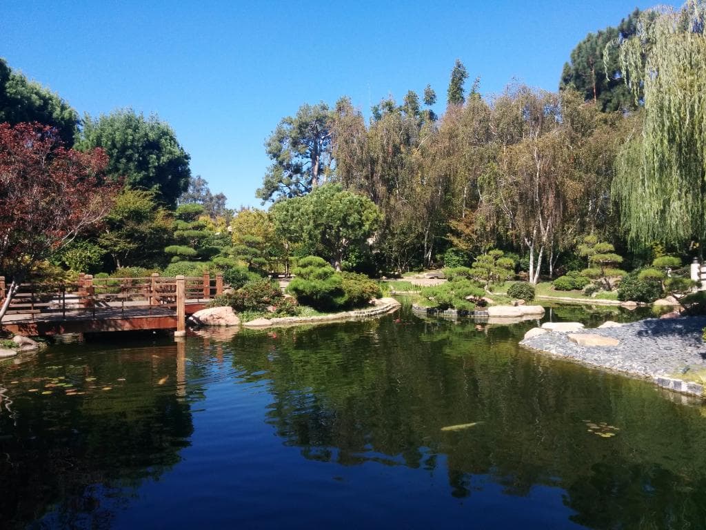 Japanese Garden