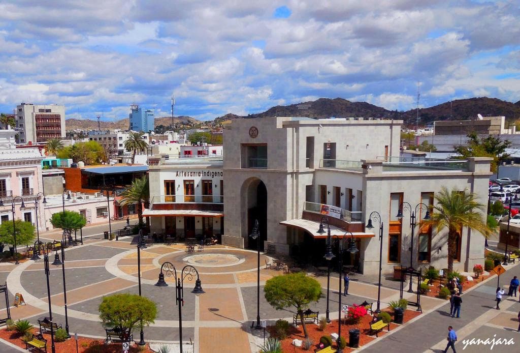 Una mañana en plaza bicentenario